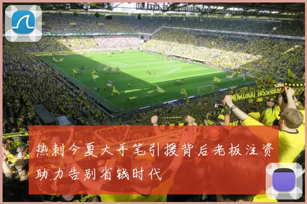 热刺今夏大手笔引援背后老板注资助力告别省钱时代